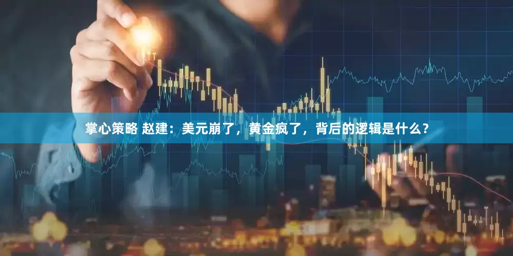掌心策略 赵建：美元崩了，黄金疯了，背后的逻辑是什么？