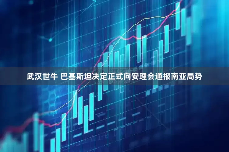 武汉世牛 巴基斯坦决定正式向安理会通报南亚局势
