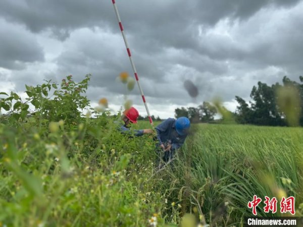 富灯网配资 广东受台风影响停电用户近七成已恢复供电